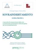 Sovraindebitamento. Guida pratica. L'accordo di composizione della crisi e il piano del consumatore nella disciplina del sovraindebitamento