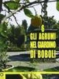 Gli agrumi nel giardino di Boboli