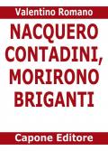 Nacquero contadini, morirono briganti. Storie del Sud dopo l'Unità dimenticate negli archivi