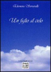 Un figlio al cielo