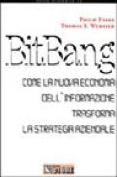 Bit-bang. Come la nuova economia dell'informazione trasforma la strategia aziendale