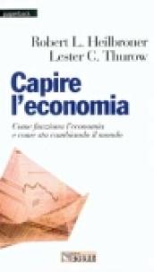 Capire l'economia. Come funziona l'economia e come sta cambiando il mondo