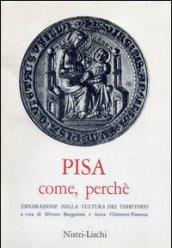 Pisa come, perché. Esplorazione nella cultura del territorio