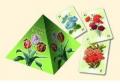 Flowers Wisdom (Pyramid Cards)