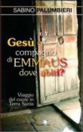 Gesù compagno di Emmaus dove abiti? Viaggio del cuore in Terra Santa