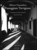 Passeggiate trevigiane