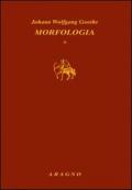 Morfologia