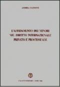 L'affidamento dei minori nel diritto internazionale privato e processuale