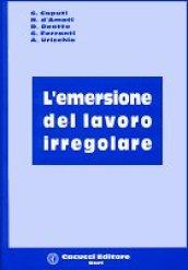 L'emersione del lavoro irregolare