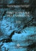 Diritto penale dell'ambiente