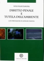 Diritto penale e tutela dell'ambiente: tra responsabilità individuali e degli enti