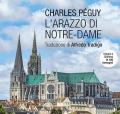 L'arazzo di Notre-Dame. Viaggio a Chartres in 100 immagini. Ediz. illustrata