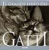 Il grande libro dei gatti. Ediz. illustrata