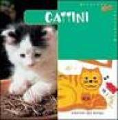 Gattini