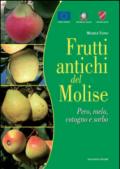 Frutti antichi del Molise. Pero, melo cotogno e sorbo. Sapori e valori da riscoprire