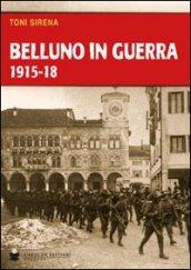 Belluno in guerra 1915-18