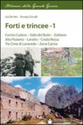 Forti e trincee. 1.Centro Cadore. Valle del Boite. Zoldano. Alta Pusteria. Landro. Croda Rossa. Tre cime di Lavaredo. Zona Carnia