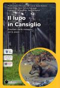 Il lupo in Cansiglio. Risultati delle indagini 2015-2020