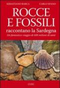 Rocce e fossili raccontano la Sardegna: Un fantastico viaggio di 600 milioni di anni