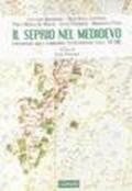 Seprio nel Medioevo. Longobardi nella Lombardia settentrionale (secc. VI-XIII) (Il)