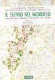 Seprio nel Medioevo. Longobardi nella Lombardia settentrionale (secc. VI-XIII) (Il)