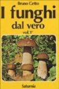 I funghi dal vero: 1