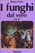 I funghi dal vero: 4