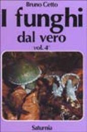 I funghi dal vero: 4