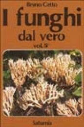 I funghi dal vero: 5