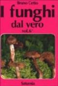 I funghi dal vero: 6