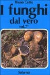 I funghi dal vero: 7