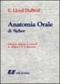 Anatomia orale di Sicher