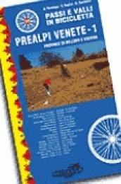 Passi e valli in bicicletta. Prealpi venete. 1.Province di Belluno e Treviso