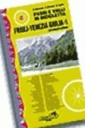 Passi e valli in bicicletta. Friuli Venezia Giulia. 1.Alpi e Prealpi Carniche