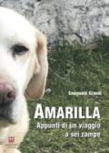 Amarilla. Appunti di un viaggio a sei zampe