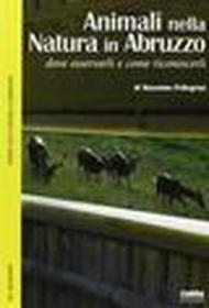 Animali nella natura in Abruzzo. Dove osservarli e come riconoscerli