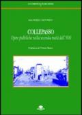 Collepasso. Opere pubbliche nella seconda metà dell'800