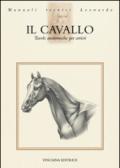 Il cavallo. Tavole anatomiche per artisti