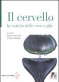 Il cervello. La scatola delle meraviglie