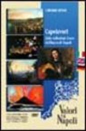 Capolavori dalle collezioni d'arte del Banco di Napoli. Ediz. italiana, inglese e tedesca. DVD