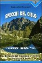 Specchi del cielo. I 133 laghi del massiccio cristallino fra Gesso e Stura