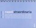Napoli straordinaria 2009. Ediz. italiana e inglese