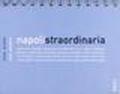 Napoli straordinaria 2009. Ediz. italiana e inglese