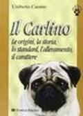 Il carlino. Le origini, la storia, lo standard, l'allevamento, il carattere