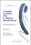 L'esame di Stato per il perito industriale. Le attività ingegneristiche e l'esercizio della libera professione (2 vol.)
