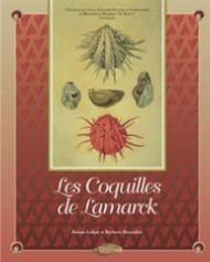 Le coquilles de Lamarck