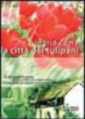 La città dei tulipani
