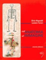 Dall'anatomia all'immagine