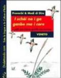 Proverbi & modi di dire. Veneto. I soldi non hanno gambe ma corrono-I schéi no i ga ganbe ma i core