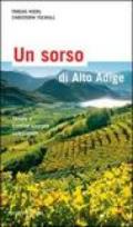 Un sorso di Alto Adige. Cantine e aziende vinicole selezionate